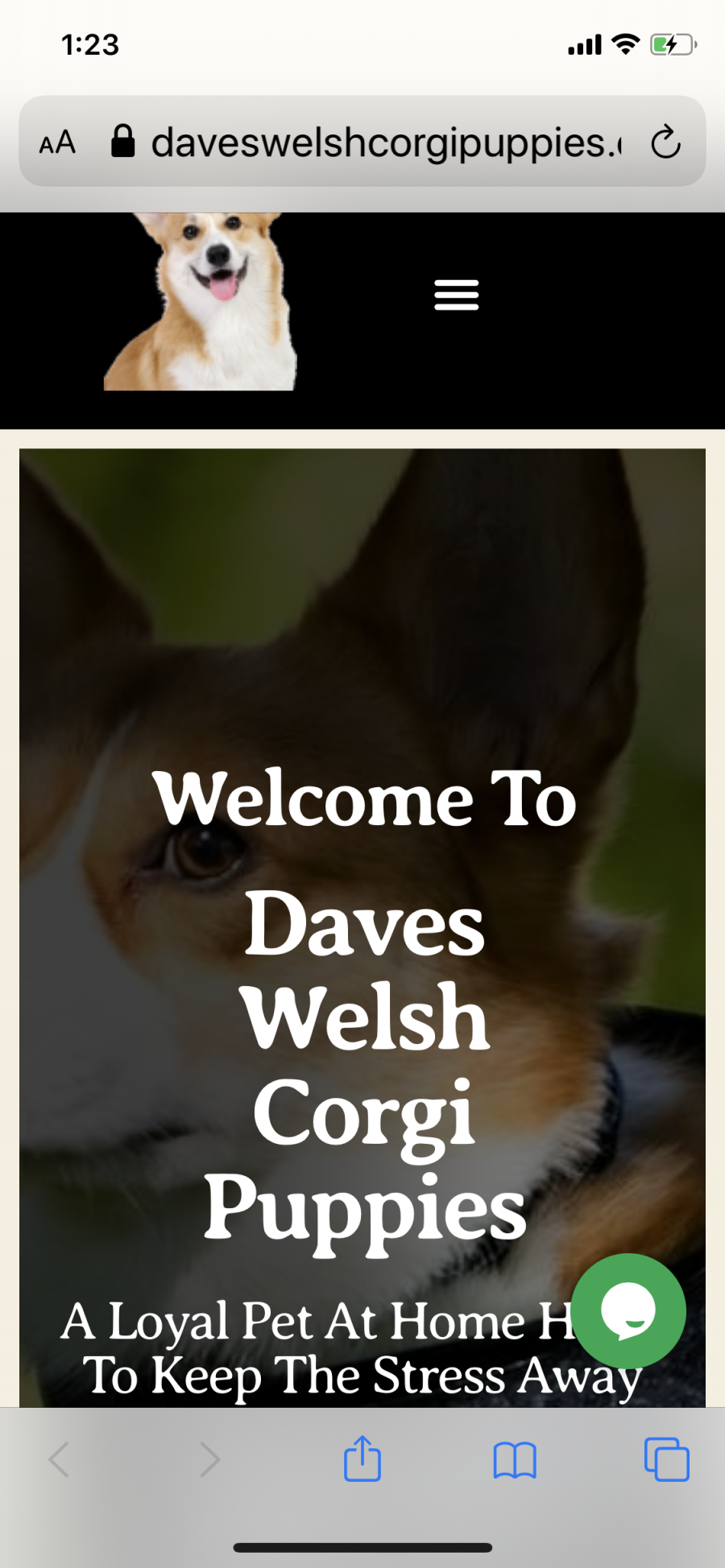20210216101921 602b9c299656e Dave's Welsh Corgi Puppies